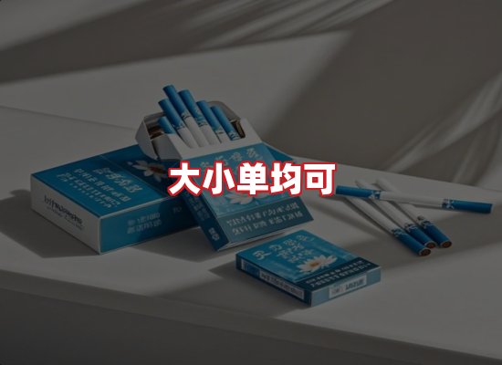 专业团队